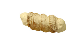 Mini Schaumrolle